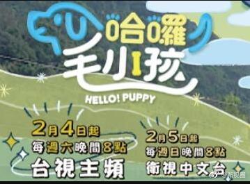 哈啰！毛小孩(全集)