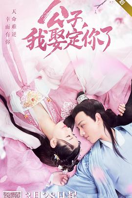 公子，我娶定你了(全集)