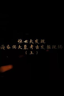 探索發(fā)現(xiàn)：?；韬畲竽箍脊虐l(fā)掘現(xiàn)場(全集)